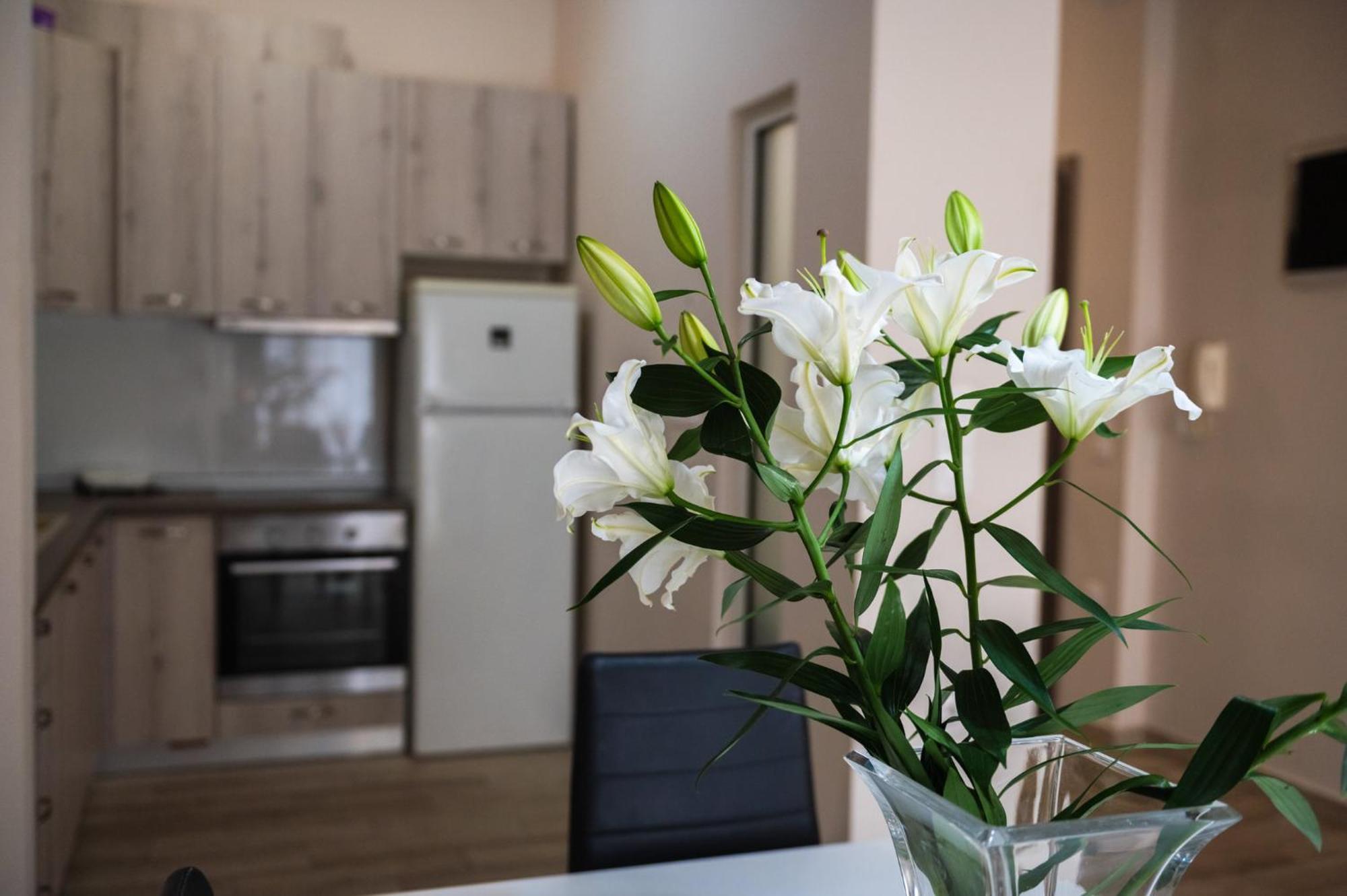 Central Luxurious Suite Near Lighthouse Alexandroupolis Buitenkant foto